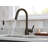 Adler Pull Down Single Handle Kitchen Faucet with Accessories-48057842