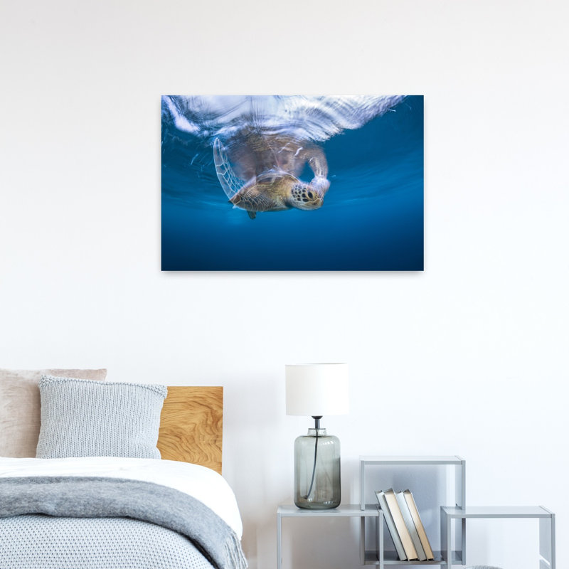 Peaceful Sea Turtle Swim Peaceful Serene Tranquil Turtle Nature Ocean Wall Art Print 1 Piece Wrapped Canvas Wall Art