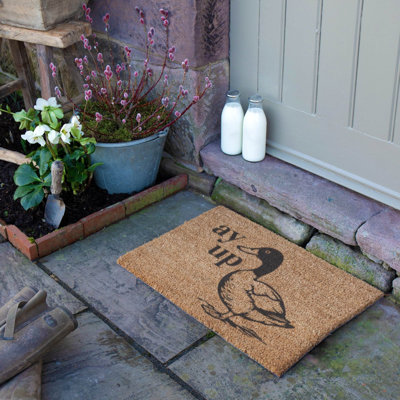 Non-Slip Indoor Doormat