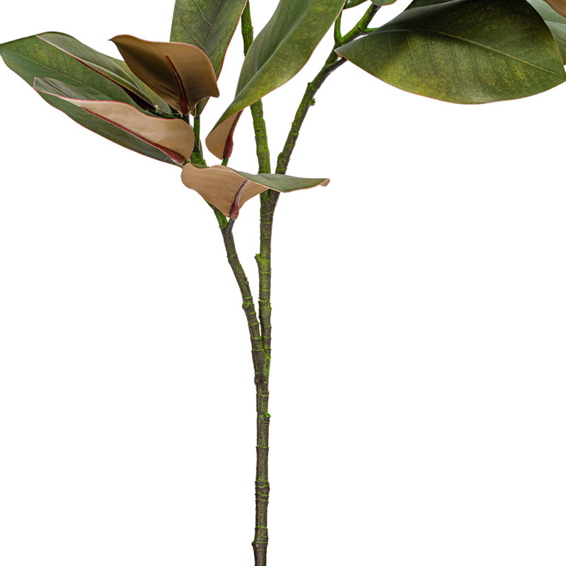 35" Artificial Green Magnolia Branch 2/Bag.