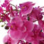 Plastic, Silk Artificial Arrangement in Planter-88685040-88685041