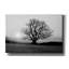 «Meadow Tree» par PhotoINC Studio-1204318442