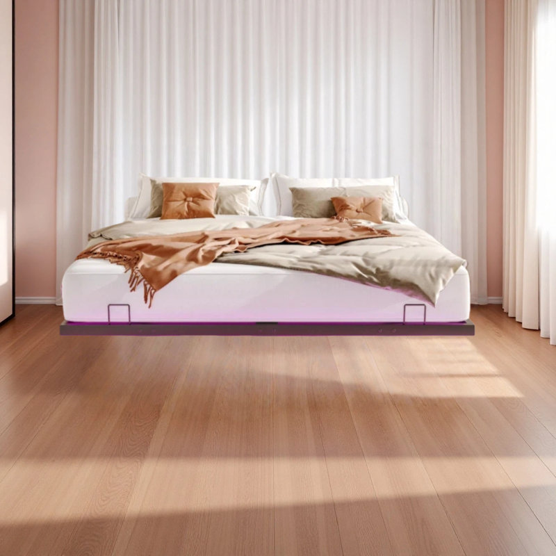 Queen Size Floating Bed Frames With LED Lights, Metal Platform Bed , Solid And Stable, Noise Free, No Box Spring Needed, Easy Assembly