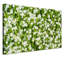 Print on Canvas-62828903