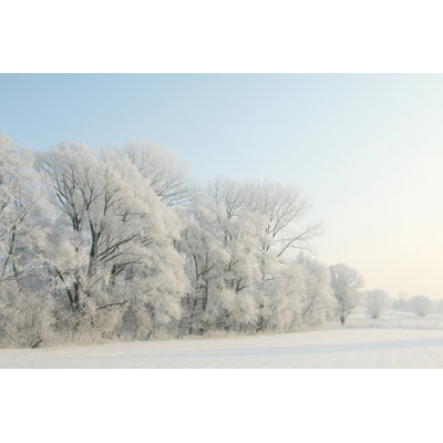 Frosty Trees - Wrapped Canvas Print