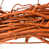 Orange is out of stock