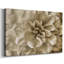 «Neutral Wall Flower III», toile tendue avec châssis-983866086