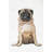 Pug Print On Canvas