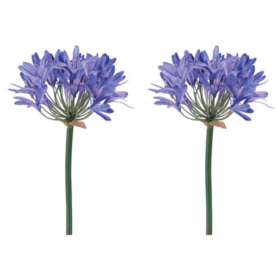 Agapanthus Flower Stem (Set of 2)
