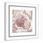Intime rosé II - photographie-60493306-60493307