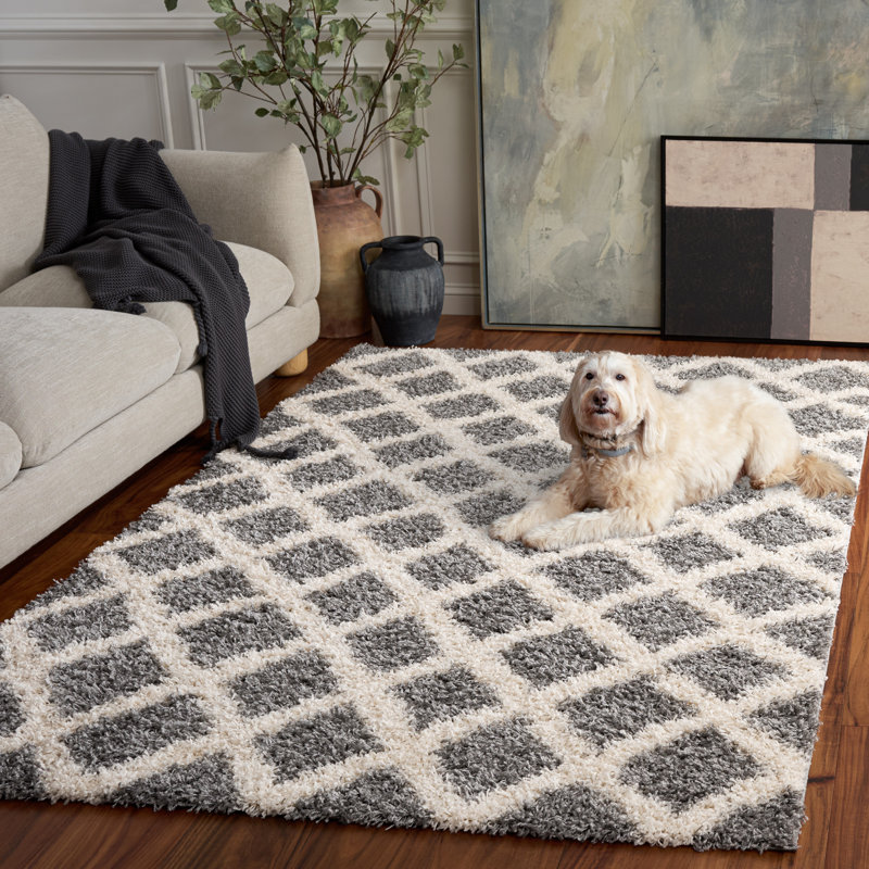 Tapis gris / ivoire Arsheq, Rectangle 5 pi 1 po x 7 pi 6 po