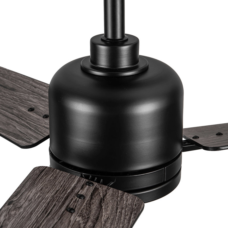 Ventilateur de plafond 48 po avec lumière Lowe, Noir, Noir