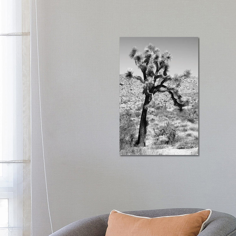 Joshua Trees Desert II by Philippe Hugonnard - Wrapped Canvas Print, 66.04 cm H x 45.72 cm W x 3.175 cm D