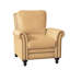 Fauteuil inclinable standard de 36,5 po Richardson-1143396300-1143394865-1143395982
