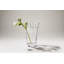 Anemone Vase, Medium-74515514
