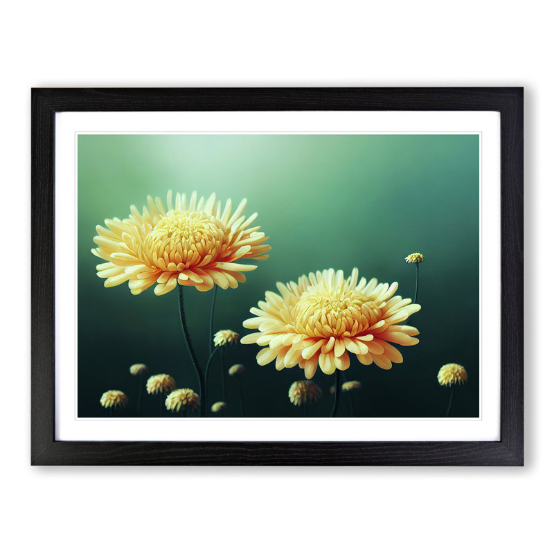 Intriguing Chrysanthemum Flowers - Single Picture Frame Painting, 46cm H x 64cm W x 2cm D, Black