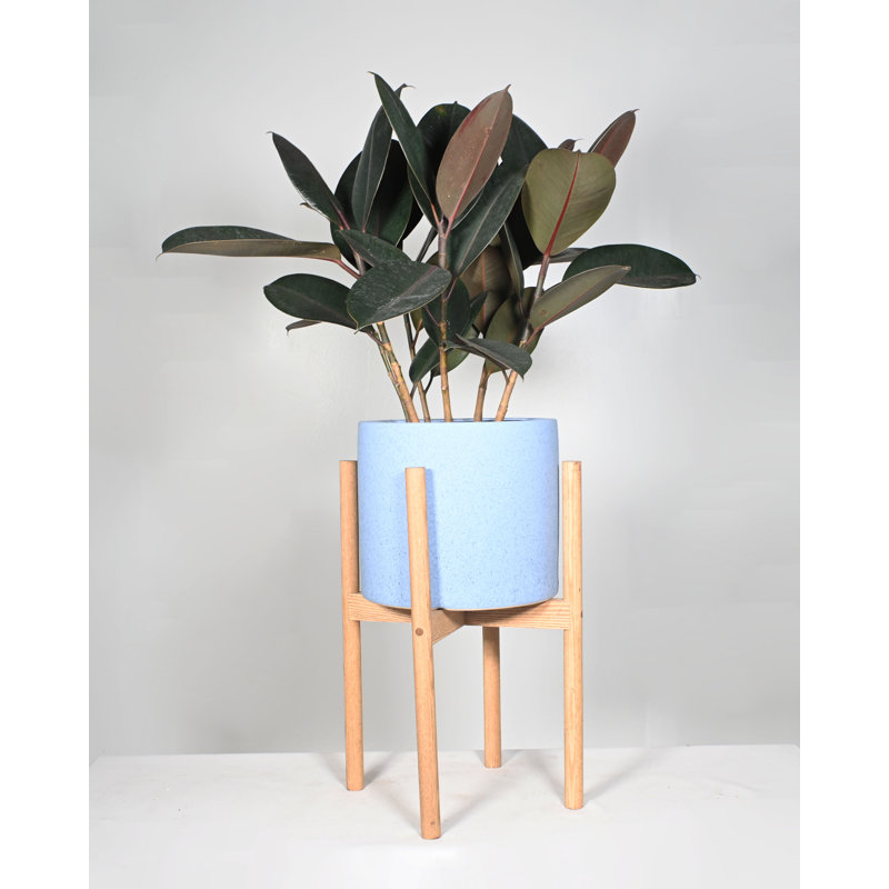 Pot à fleurs en céramique Helfer, Brun