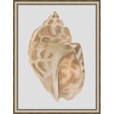 Watercolor Sea Shells 5 - Peinture sur papier
