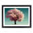 Black Framed selected