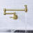 Dilon Kitchen Faucet-65223064