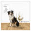 Hampton 15.7'' H Metal Tabletop Candelabra-1088827050