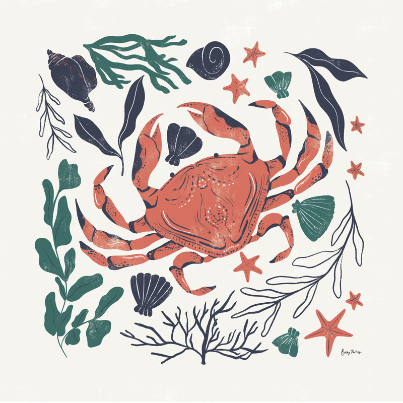 Coastal Reef II by Becky Thorns - Wrapped Canvas Print, 30cm H x 30cm W