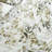 Julia Boho Leaves Printed Microfiber Bed Sheet Set-1092564131