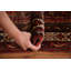 Tapis 7 x 10
