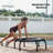 JumpSport 350 Series 39" Fitness Trampoline & Handle Bar Bundle, Adjustable Bungees