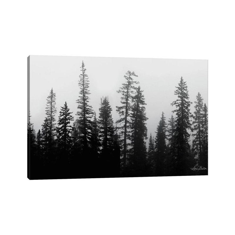 Rocky's Trees 1 Piece Wrapped Canvas Wall Art, 66.04 cm H x 45.72 cm W x 3.175 cm D