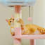 Arbre à chat Erlene-102239209