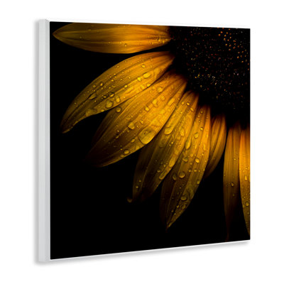 Plaque murale détail de tournesol avec gouttelettes, design par Brian Carson