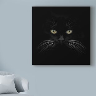  Cat Wall Art Painting 3 Piece Black and White Green