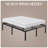 Rossmoor 16.5 Inch Metal Platform Bed Frame with Non-slip Mattress Foundation , No Box Spring Needed-279394635
