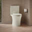 Veil Elongated Toilet Bowl With Skirted Trapway-577078728