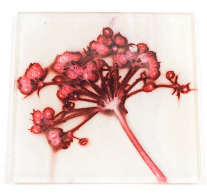 Glass Square 1 Piece Coaster
