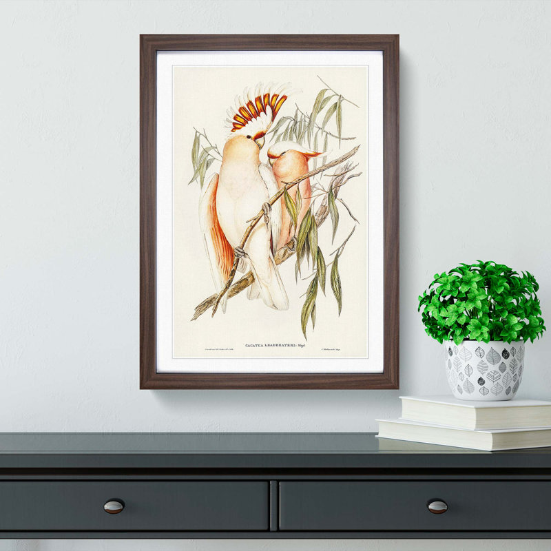 Leadbeater's Cockatoos by Elizabeth Gould - Picture Frame Painting Print, 36cm H x 27cm W x 2cm D, Walnut Framed