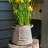Loraina Handmade Metal Pot Planter