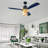 Ceiling Fan with Light Kit-1662170201