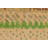 Sterick Area Rug