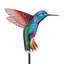 Ensemble de 2 plantes à colibri