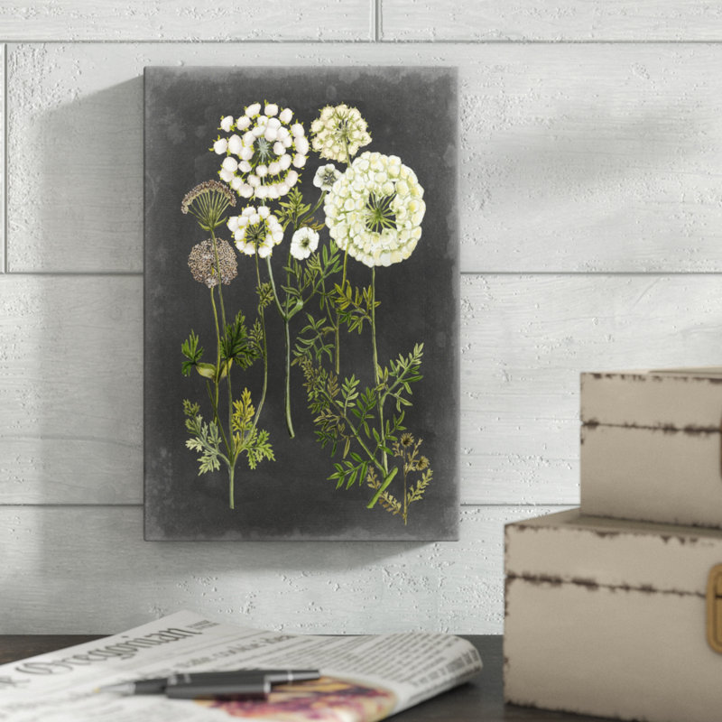 Bookplate Floral II by Naomi McCavitt - Painting on Canvas, 30cm H x 20cm W, Wrapped Canvas