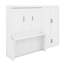 Grand lit escamotable mural avec placard-1630221505