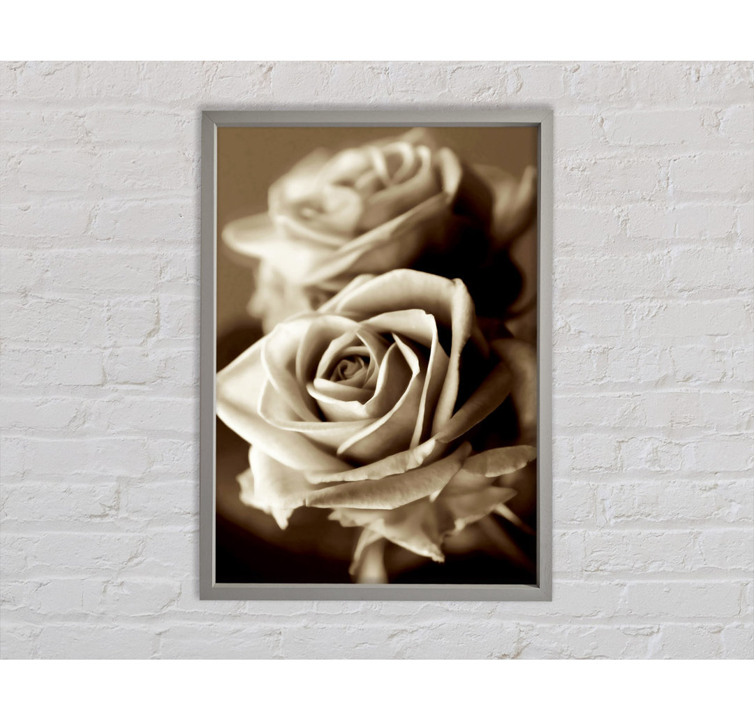 Sunning Sepia Roses - Single Picture Frame Kunstdrucke auf Leinwand