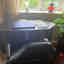 Customer photo 2 of 2