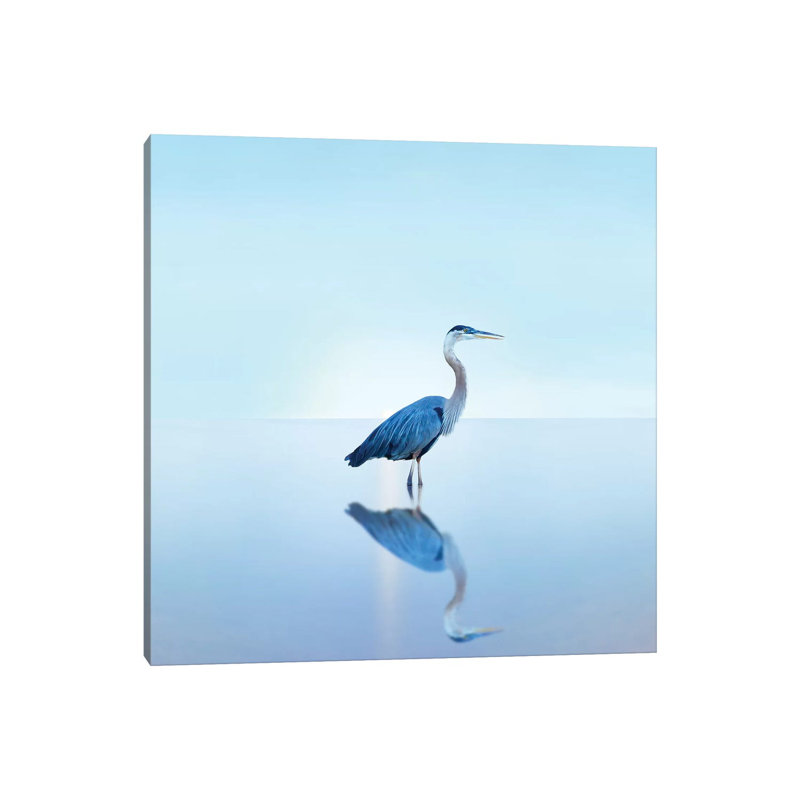Beachscape Heron II by James McLoughlin - Wrapped Canvas Print, 66.04cm H x 66.04cm W x 1.905cm D