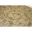 Hand Knotted Wool Oriental Area Rug in Beige