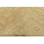 Tapis beige en laine nouvel âge 9 pi 1 po x 12 pi 2 po Musayb