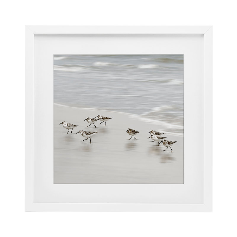 «Beach Birds Scurrying», reproduction encadrée sous verre, conception de Natalie Carpentieri, H 13 po x l 13 po