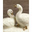 Lenox Holiday Mini Nativity Animals 4-Piece Set